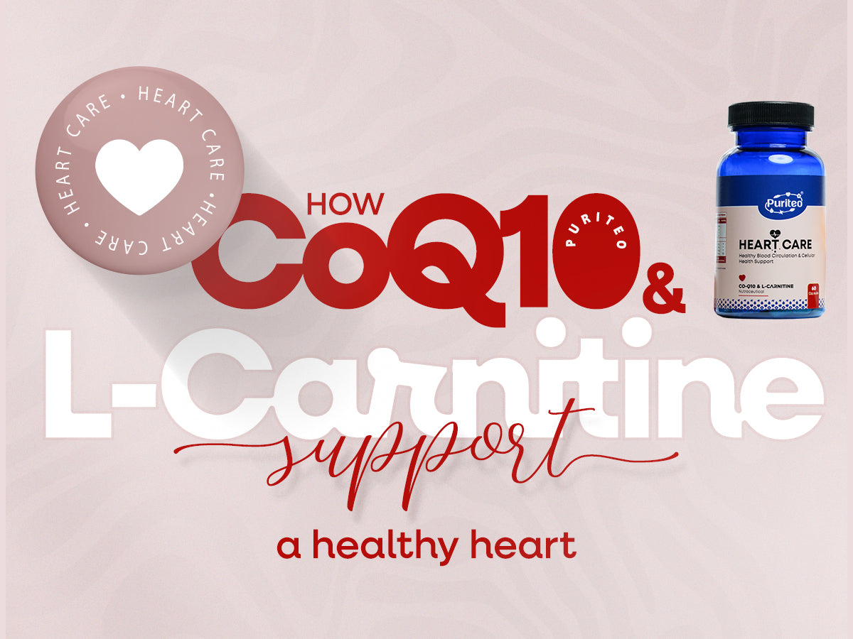 How CoQ10 & L-Carnitine Boost Heart Health Naturally Puriteo How CoQ10 & L-Carnitine Boost Heart Health Naturally Puriteo