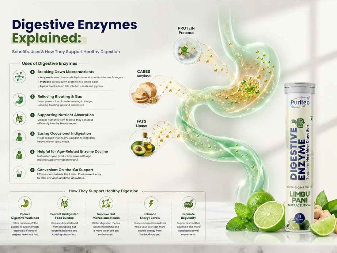 Digestive Enzymes Explained: Benefits, Uses & How They Support Healthy Digestion