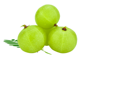 Amla Extract