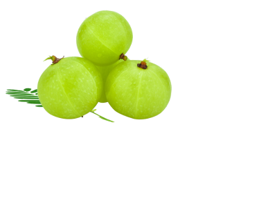 Amla Extract