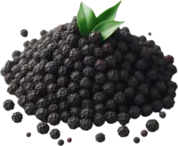 Black Pepper Extract