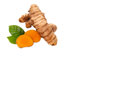 section.settings.title_ingredients04