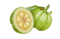 Garcinia Cambogia Extract