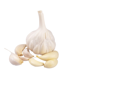 section.settings.title_ingredients03