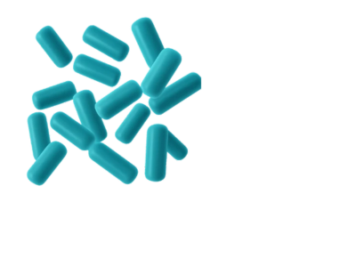 Lactobacillus Acidophilus