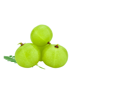 Amla Ext