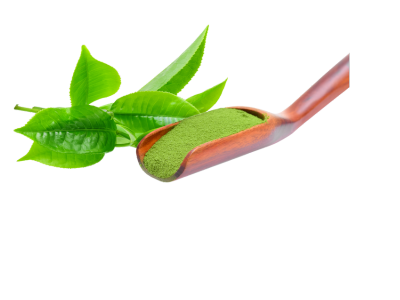 Green Tea Extract