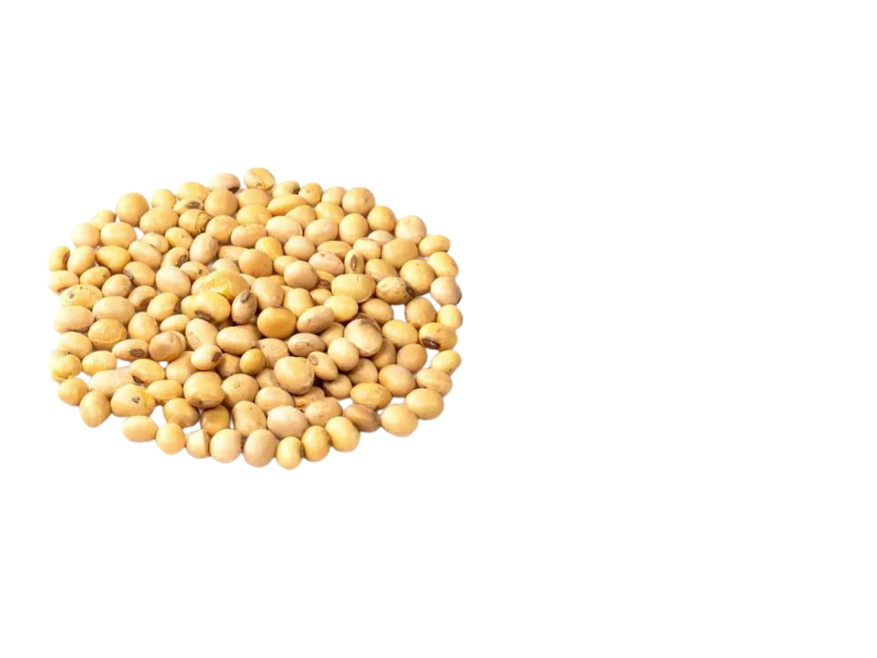 L-Arginine